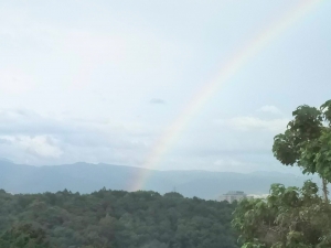 車内から見る虹