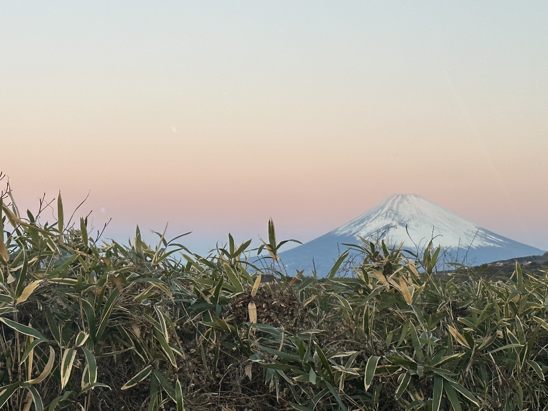 箱根からの富士山　初日の出
