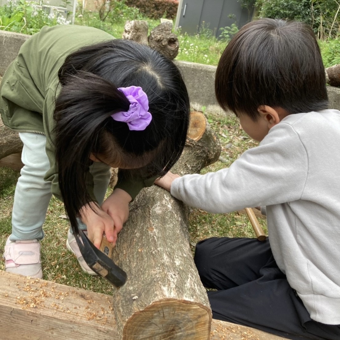 オーガニック　椎茸　菌打ち