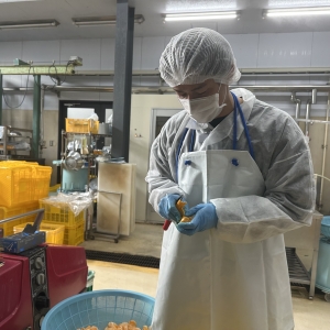 ポンカンジュース　工場