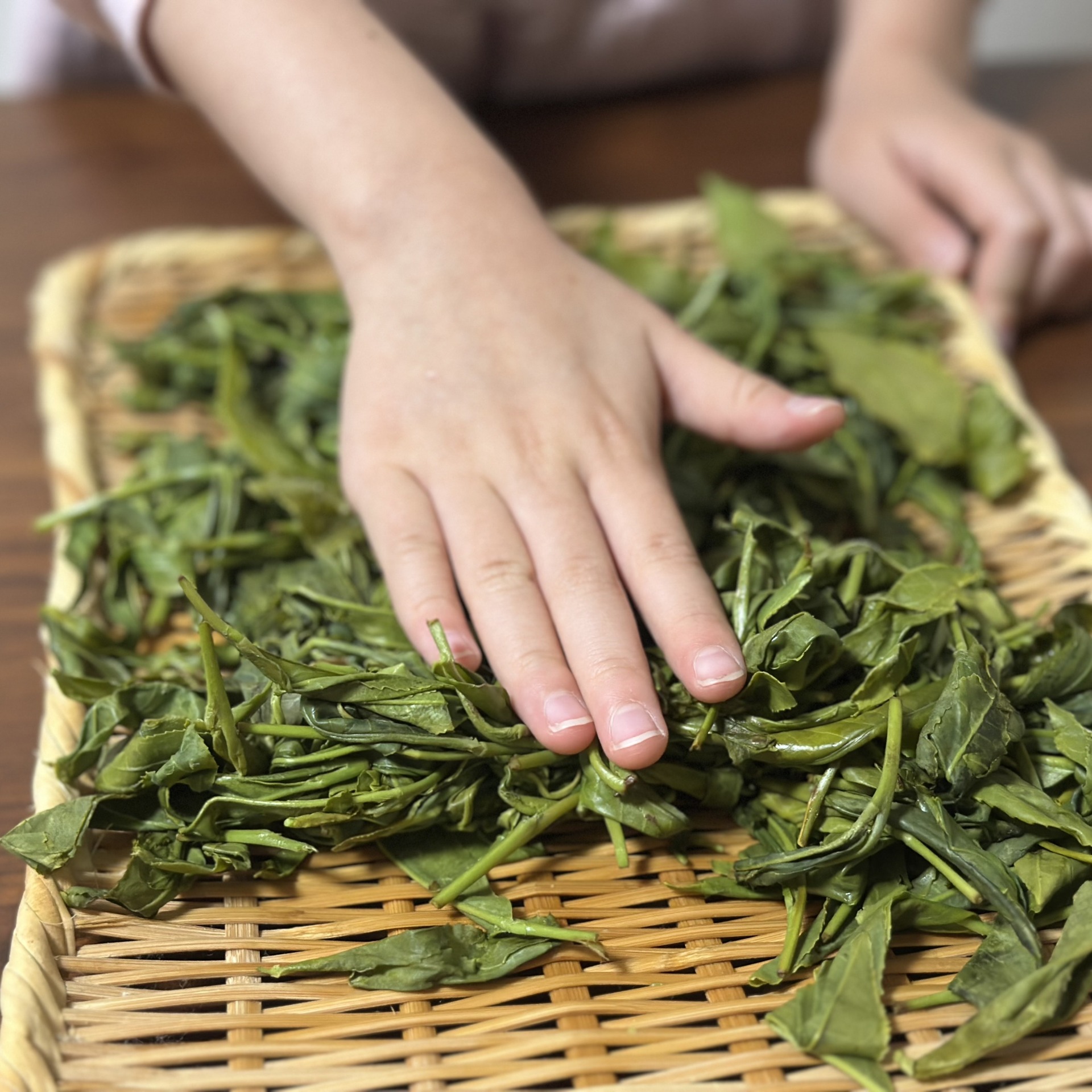 オーガニック　新茶　手もみ
