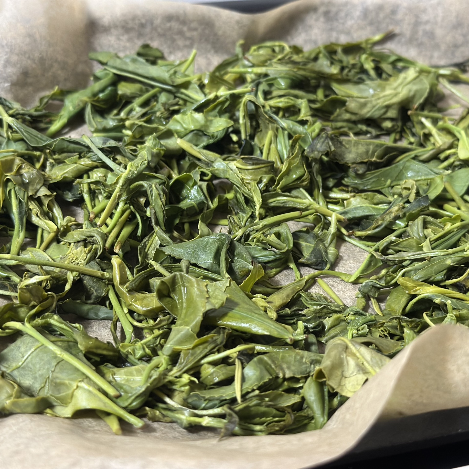 有機　自然栽培　新茶