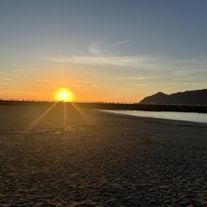 オーガニックボックスの朝