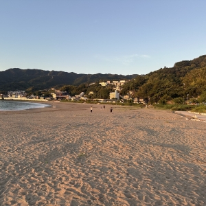 オーガニックボックス朝活