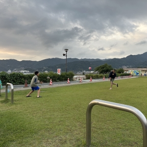 オーガニックボックスの朝活