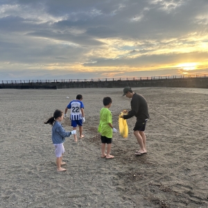 オーガニックボックス　ビーチクリーン