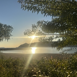 オーガニックボックスご挨拶