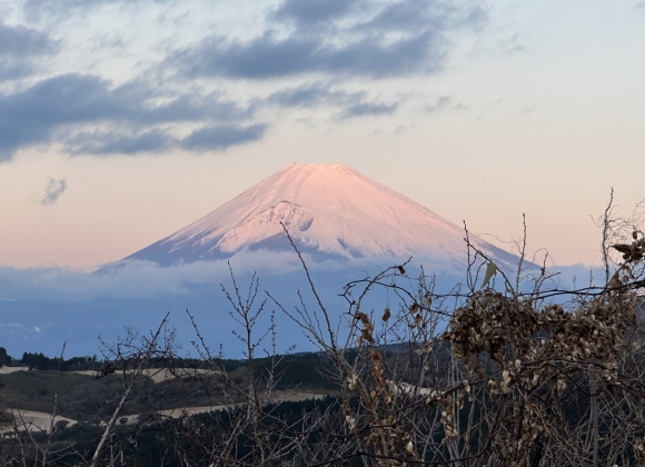 オーガニックボックス　元旦の富士山